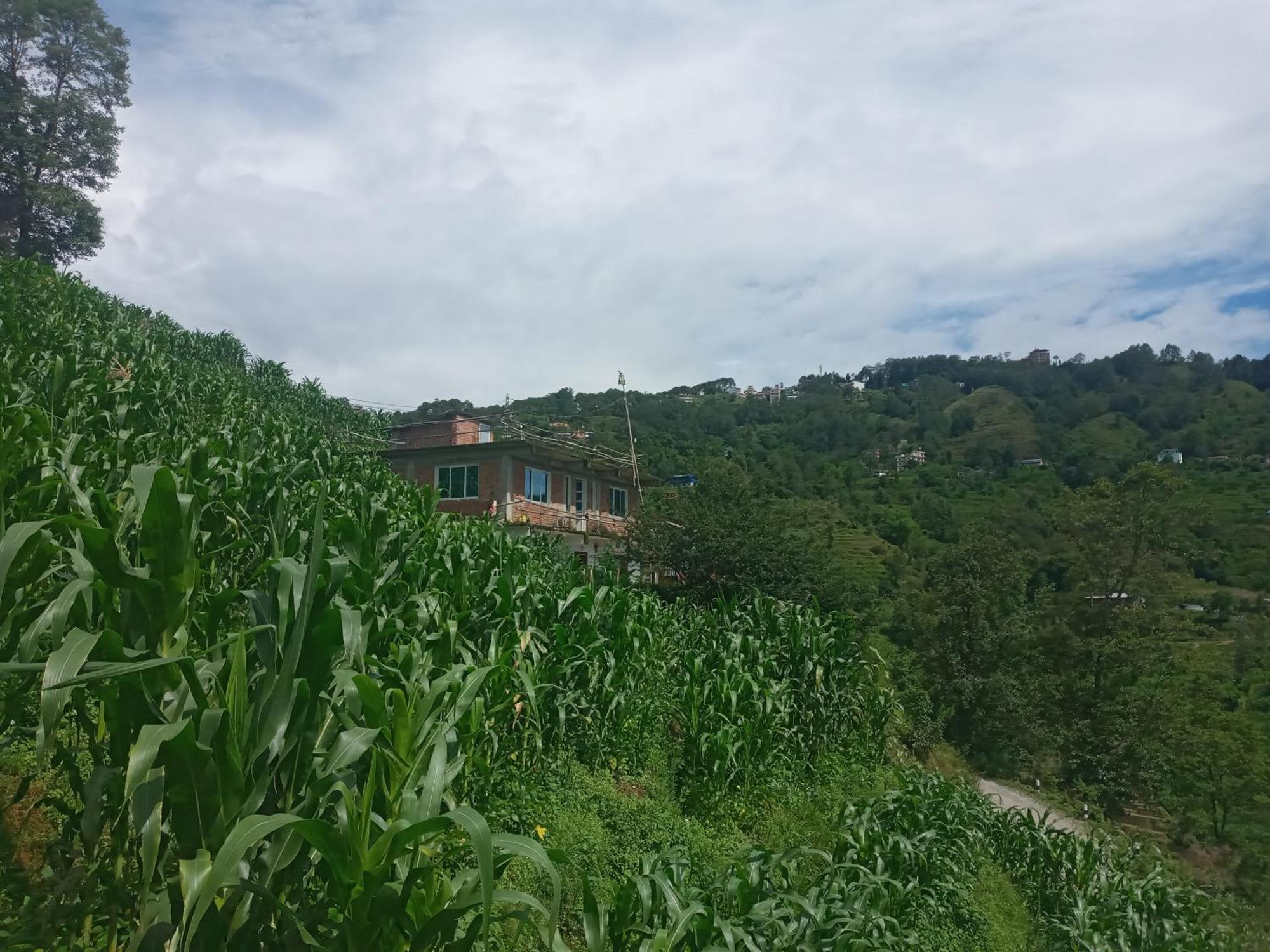 Unique Point Home Stay Nagarkot Kültér fotó
