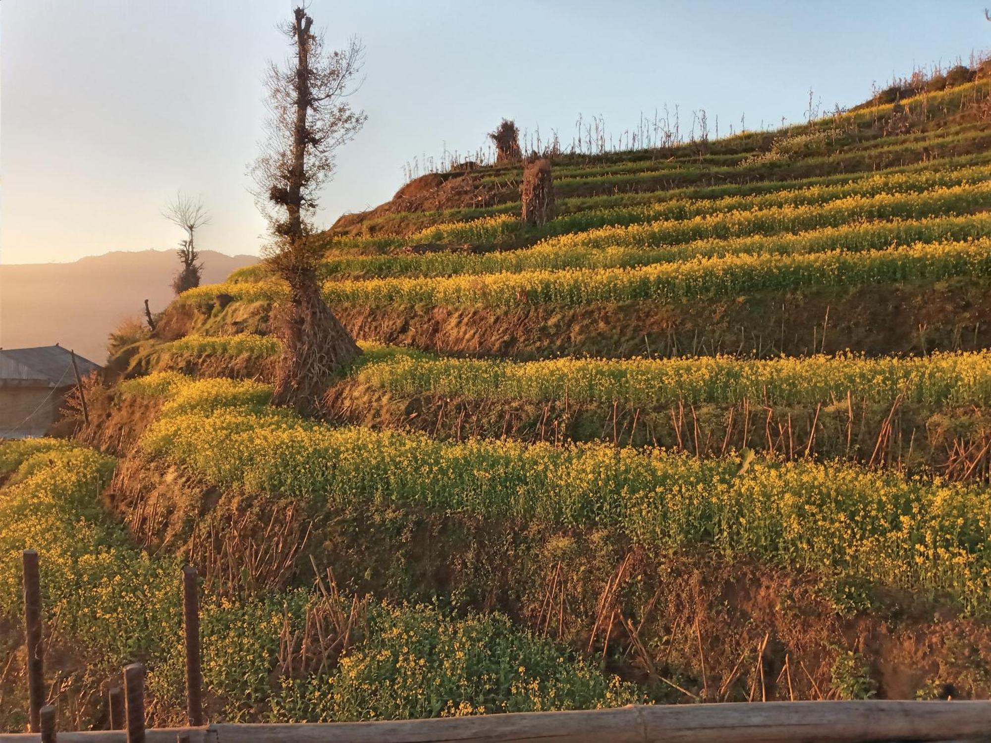 Unique Point Home Stay Nagarkot Kültér fotó