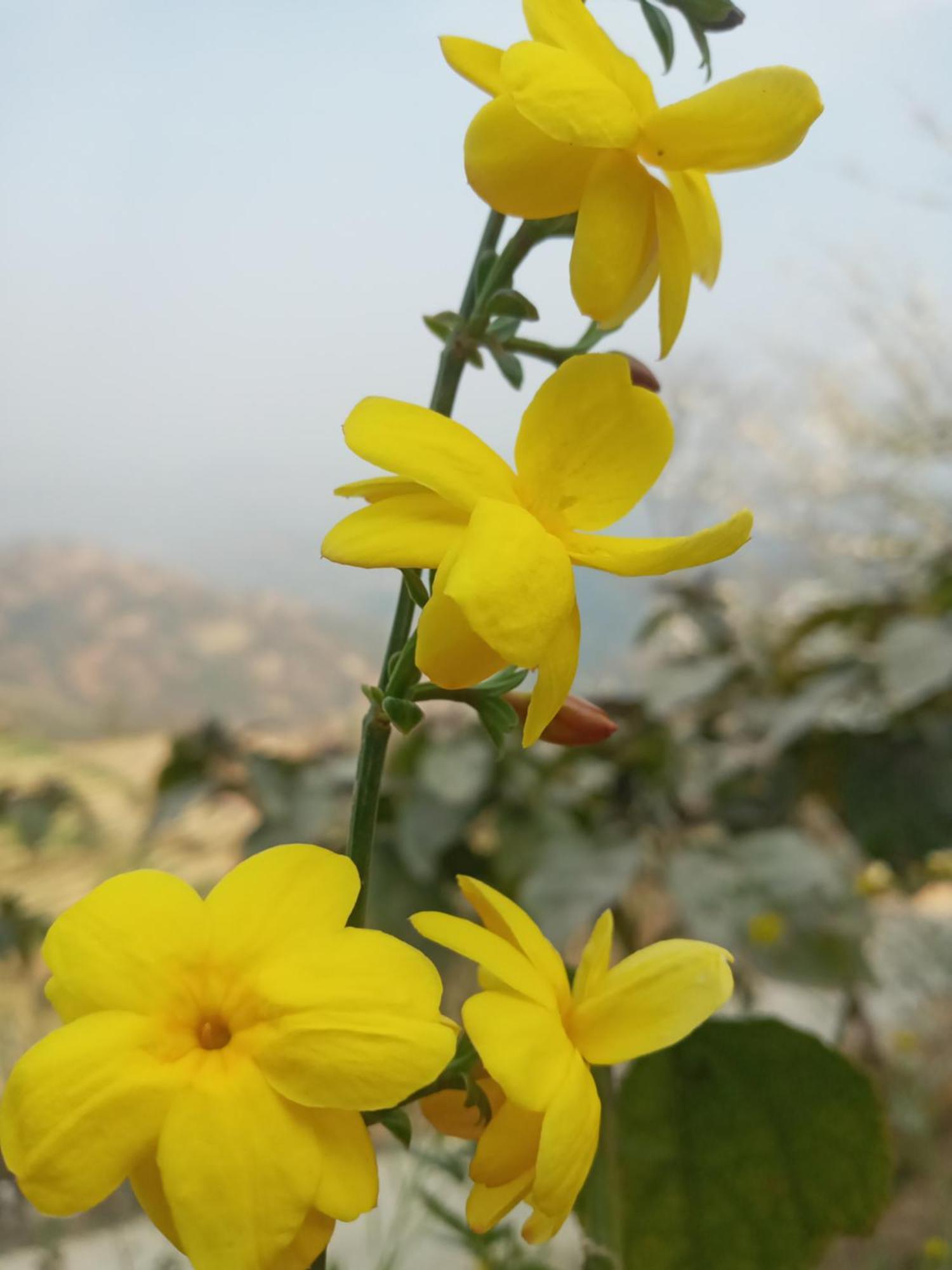 Unique Point Home Stay Nagarkot Kültér fotó