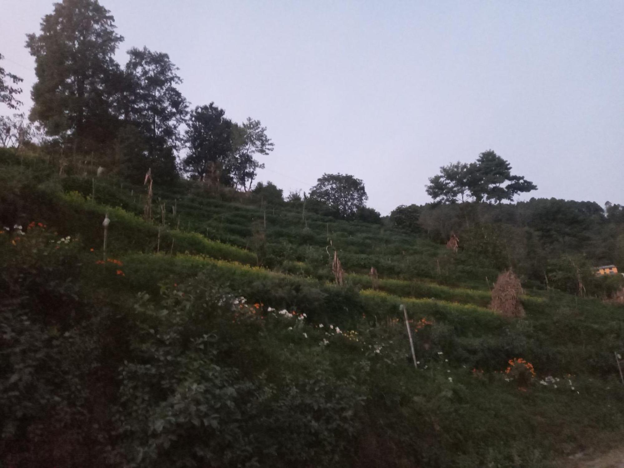 Unique Point Home Stay Nagarkot Kültér fotó